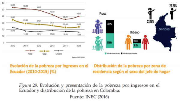 La Agroforestería como Escenario de Reconciliación, Sostenibilidad y Producción territorial - Image 4