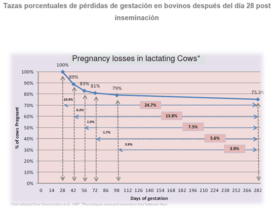 El diagnóstico de gestación es un manejo clave - Image 1