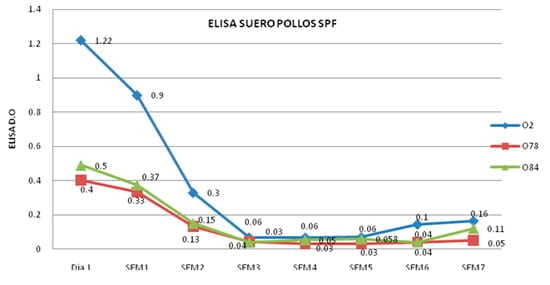 Estandarización de la Técnica de Elisa para la evaluación de la inmunidad humoral producida por tres cepas patógenas aviares de Escherichia ColiI (APEC) - Image 4