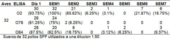 Estandarización de la Técnica de Elisa para la evaluación de la inmunidad humoral producida por tres cepas patógenas aviares de Escherichia ColiI (APEC) - Image 1