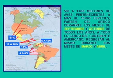 ¿Brotes de Zoonosis por el Huracán Sandy? ¿Máxima Alerta para América por posibles casos de Influenza aviar? - Image 2