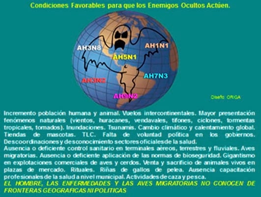 ¿Brotes de Zoonosis por el Huracán Sandy? ¿Máxima Alerta para América por posibles casos de Influenza aviar? - Image 4
