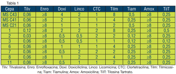 Susceptibilidad Antibiótica in vitro de Cepas Argentinas de Mycoplasma synoviae Aisladas de Gallinas de Postura Comercial - Image 1