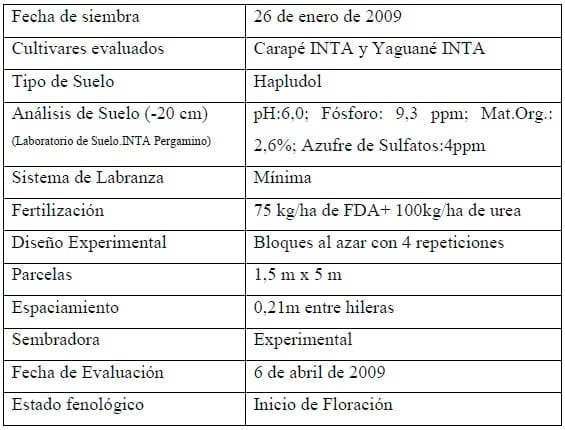 Alternativa para situaciones de emergencia climática, Siembra Tardía de Moha - Image 4