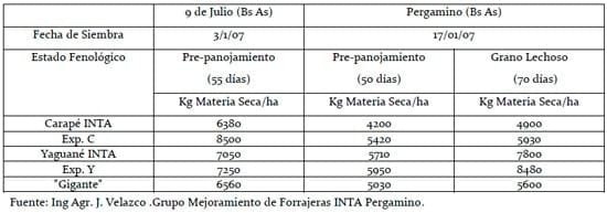 Alternativa para situaciones de emergencia climática, Siembra Tardía de Moha - Image 1