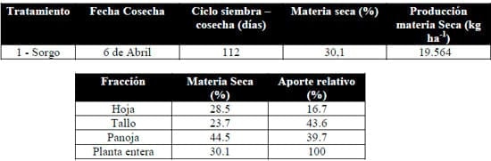 Evaluacion de la respuesta de moha a diferentes fechas de siembra en el partido de 9 de Julio (Bs As) - Image 6