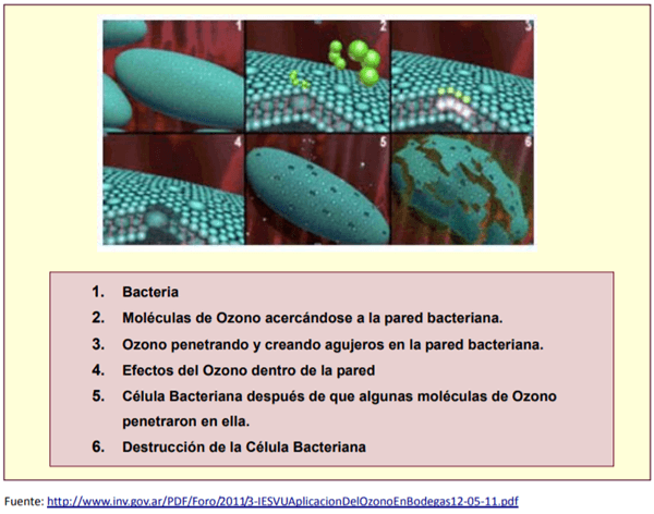 Ozono en alimentos, Tecnologías para la Industria Alimentaria - Image 10