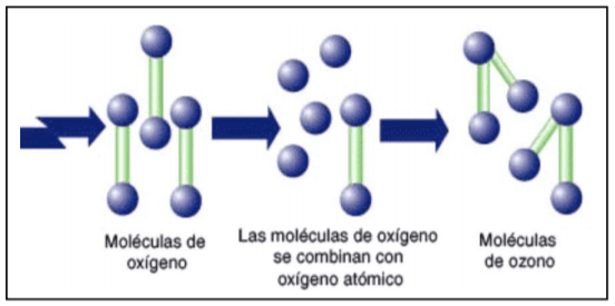 Ozono en alimentos, Tecnologías para la Industria Alimentaria - Image 13