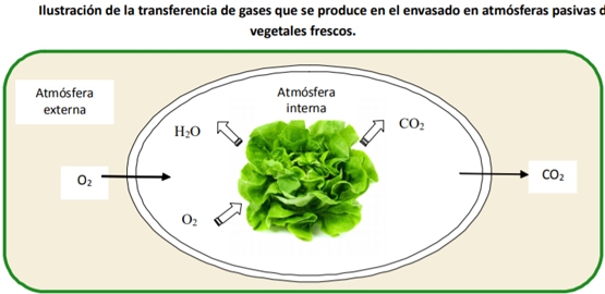 Envasado en atmósfera modificada y controlada - Tecnologías para la Industria Alimentaria - Image 2