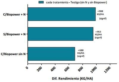 Evaluación de Inoculantes y Biofertilizantes en Sorgo - Image 4