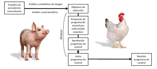 Salmonelosis, 2ª causa de toxiinfecciones alimentarias - Image 4