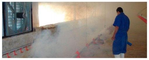 Defensa efectiva contra plagas en la crianza de pollos, gallina y pavos e industria del huevo - Image 4