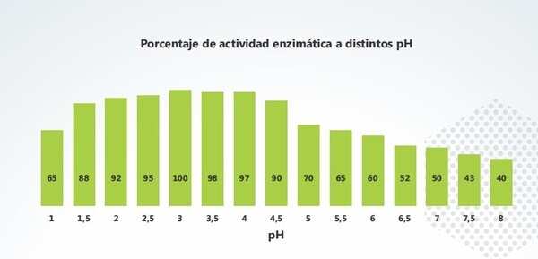 Evaluación de la actividad enzimática - Image 3