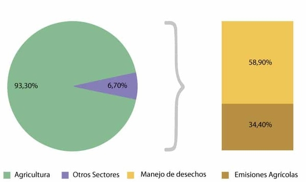 Los efectos del amoníaco en la producción avícola - Parte 1 - Image 2
