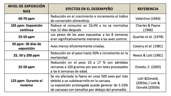 Los efectos del amoníaco en la producción avícola - Parte 2 - Image 2