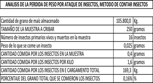¿Cómo calcular las Pérdidas de peso por lo que se comen los insectos de granos almacenados? - Image 3