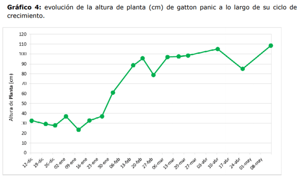Evolución del rendimiento y del contenido de materia seca de Panicum maximum (Jacq.) cv. gatton durante su ciclo de crecimiento - Image 5