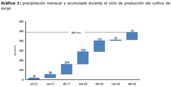 Sorgo para la confección de silajes: Su utilización en los sistemas ganaderos del noroeste de Córdoba - Image 1