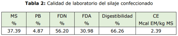 Sorgo para la confección de silajes: Su utilización en los sistemas ganaderos del noroeste de Córdoba - Image 4