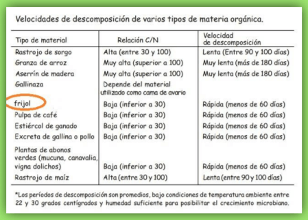 Informe sobre mejoramiento de suelos con la rotación de un cultivo de frejol en pastizales en la hacienda ganadera “La Cañuela” - Image 6
