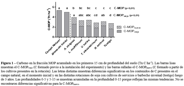 Cultivos de servicios: ¿cómo afectan la dinámica de la materia orgánica del suelo? - Image 2