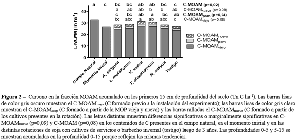 Cultivos de servicios: ¿cómo afectan la dinámica de la materia orgánica del suelo? - Image 3