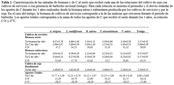 Cultivos de servicios: ¿cómo afectan la dinámica de la materia orgánica del suelo? - Image 1