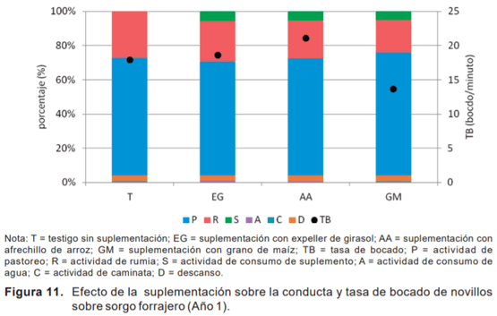 Evaluación de novillos sobre sorgo forrajero con distintas cargas y tipos de suplementación - Sistemas de engorde de novillos sobre verdeos anuales estivales en la región de basalto - Image 9