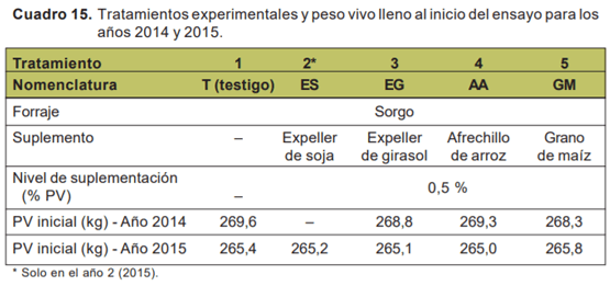 Evaluación de novillos sobre sorgo forrajero con distintas cargas y tipos de suplementación - Sistemas de engorde de novillos sobre verdeos anuales estivales en la región de basalto - Image 1
