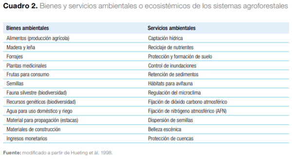 Sistemas agroforestales en Mesoamérica para la restauración de áreas degradadas - Image 4