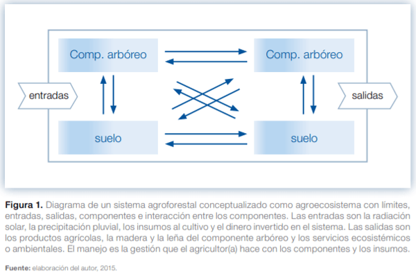 Sistemas agroforestales en Mesoamérica para la restauración de áreas degradadas - Image 1
