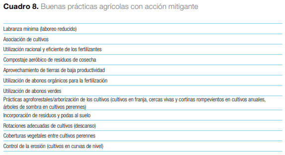 Sistemas agroforestales en Mesoamérica para la restauración de áreas degradadas - Image 33