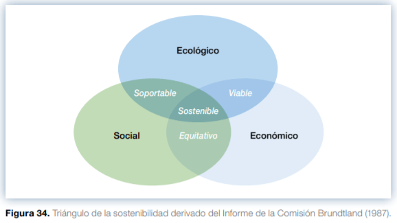Sistemas agroforestales en Mesoamérica para la restauración de áreas degradadas - Image 35