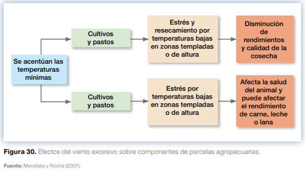 Sistemas agroforestales en Mesoamérica para la restauración de áreas degradadas - Image 27
