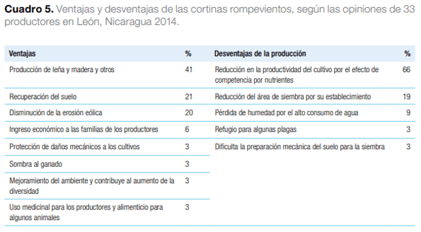 Sistemas agroforestales en Mesoamérica para la restauración de áreas degradadas - Image 28