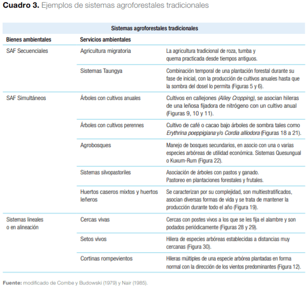 Sistemas agroforestales en Mesoamérica para la restauración de áreas degradadas - Image 5