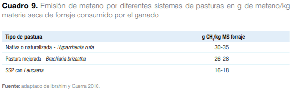 Sistemas silvopastoriles en Mesoamérica para la restauración de áreas degradadas - Image 27