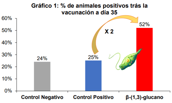 El papel de los ß-(1,3)-glucanos procedentes del alga Euglena gracilis en la vacunación frente a la enfermedad de Gumboro (IBD) en pollos - Image 3