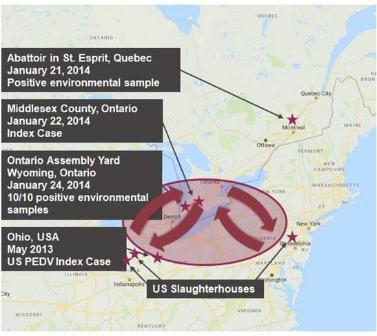 Lecciones aprendidas sobre la transmisión de virus: Una visión retrospectiva del brote de PEDV en Canadá - Image 1