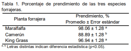 Producción y calidad forrajera de tres especies del género Pennisetum en el Valle Altoandino de Ancash - Image 5