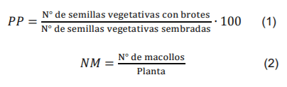 Producción y calidad forrajera de tres especies del género Pennisetum en el Valle Altoandino de Ancash - Image 2