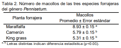 Producción y calidad forrajera de tres especies del género Pennisetum en el Valle Altoandino de Ancash - Image 6