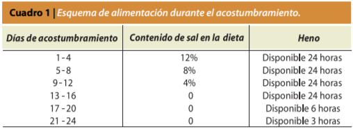 Comederos de autoconsumo - Image 3