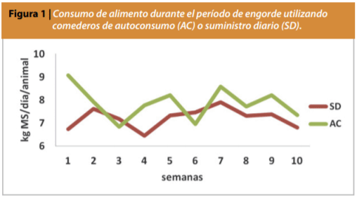 Comederos de autoconsumo - Image 4