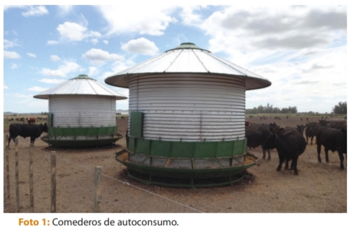 Comederos de autoconsumo - Image 1