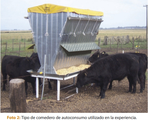 Comederos de autoconsumo - Image 2