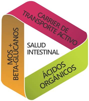 Mecanismos de acción de los ácidos orgánicos - Image 8