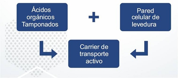 Uso de Uniwall MOS en postura durante estrés térmico - Image 1
