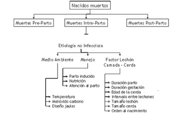 Los natimortos, una oportunidad de mejora - Image 2