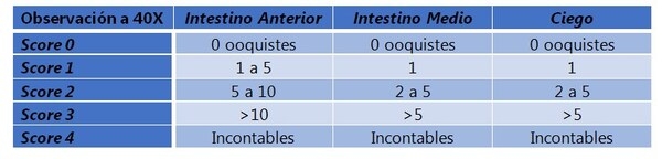 La importancia del monitoreo de la coccidiosis - Image 5
